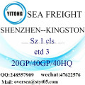 Shenzhen Port Sea Freight Shipping To Kingston